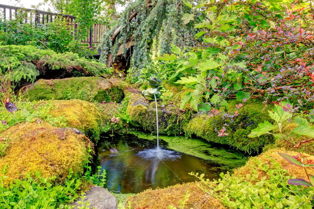 beautiful-garden-ponds-54_6 Красиви градински езера
