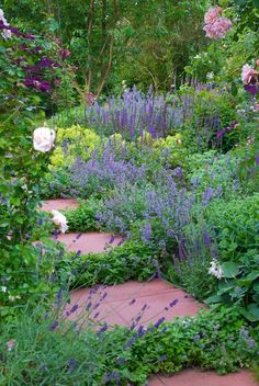 beautiful-herb-garden-17_10 Красива билкова градина