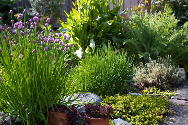 beautiful-herb-garden-17_5 Красива билкова градина