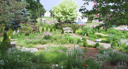 beautiful-herb-garden-17_6 Красива билкова градина