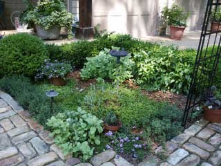 beautiful-herb-garden-17_9 Красива билкова градина