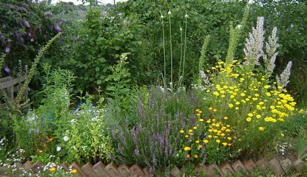 beautiful-herb-gardens-13_10 Красиви билкови градини