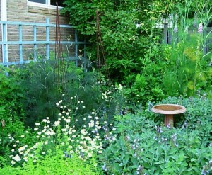 beautiful-herb-gardens-13_20 Красиви билкови градини
