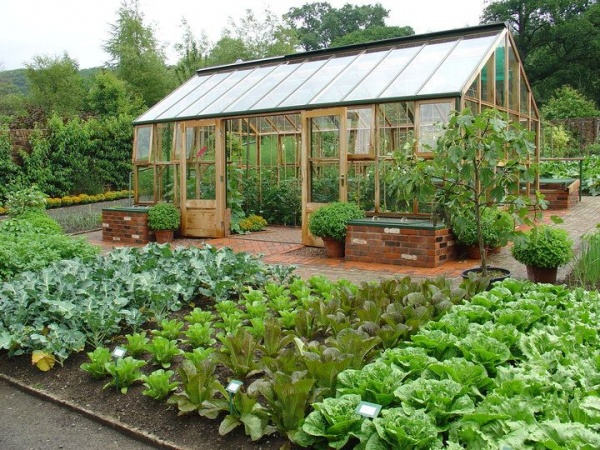 beautiful-vegetable-garden-designs-25_11 Красива зеленчукова градина дизайн