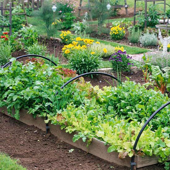 beautiful-vegetable-garden-designs-25_18 Красива зеленчукова градина дизайн