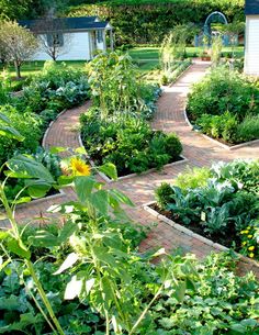 beautiful-vegetable-garden-designs-25_4 Красива зеленчукова градина дизайн