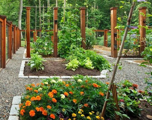beautiful-vegetable-garden-designs-25_6 Красива зеленчукова градина дизайн