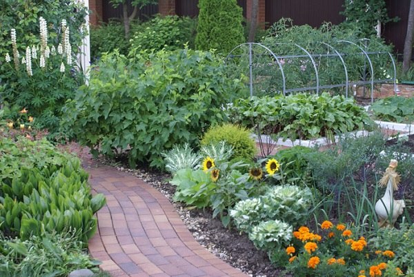 beautiful-vegetable-garden-designs-25_7 Красива зеленчукова градина дизайн