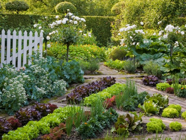 beautiful-vegetable-gardens-87 Красиви зеленчукови градини
