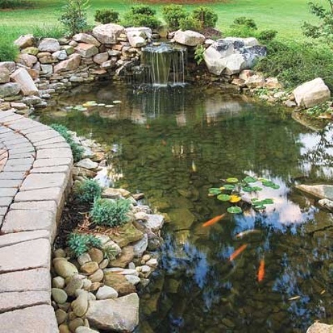 best-backyard-ponds-66 Най-добрите двор езера