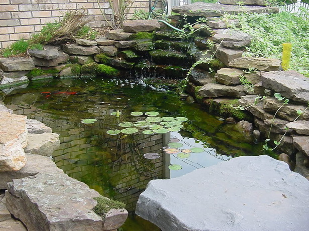 best-backyard-ponds-66_2 Най-добрите двор езера