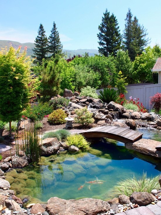 best-backyard-ponds-66_3 Най-добрите двор езера