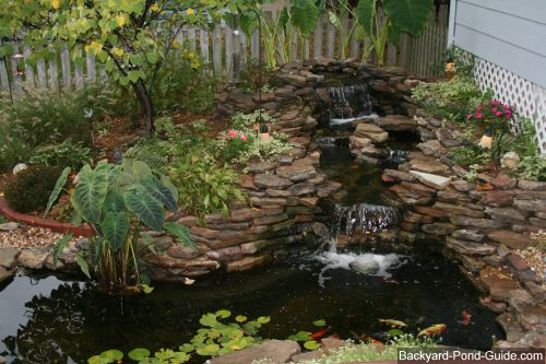 best-backyard-ponds-66_9 Най-добрите двор езера