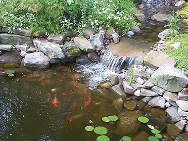 best-garden-ponds-18_15 Най-добрите градински езера