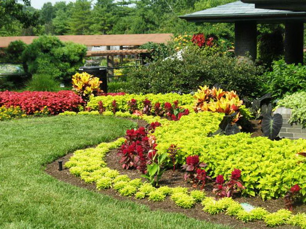 best-plants-for-flower-beds-73_7 Най-добрите растения за цветни лехи