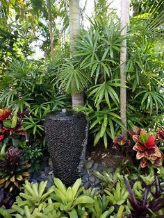 best-plants-for-tropical-garden-02_11 Най-добрите растения за тропическа градина