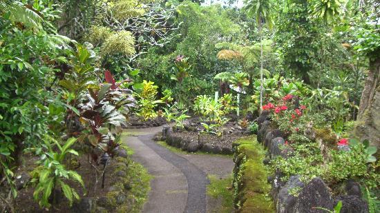 best-plants-for-tropical-garden-02_12 Най-добрите растения за тропическа градина