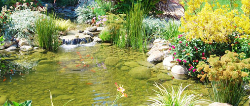 best-pond-design-69_2 Най-добър дизайн на езерце