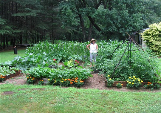 best-vegetable-garden-16 Най-добра зеленчукова градина