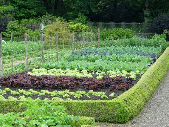 best-vegetable-garden-16_17 Най-добра зеленчукова градина