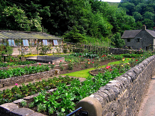 best-vegetable-garden-16_9 Най-добра зеленчукова градина