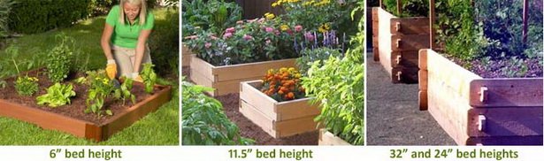 best-vegetables-for-raised-beds-20_11 Най-добрите зеленчуци за повдигнати легла