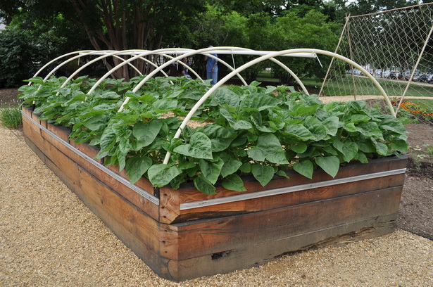 best-vegetables-for-raised-garden-beds-27_2 Най-добрите зеленчуци за повдигнати градински легла