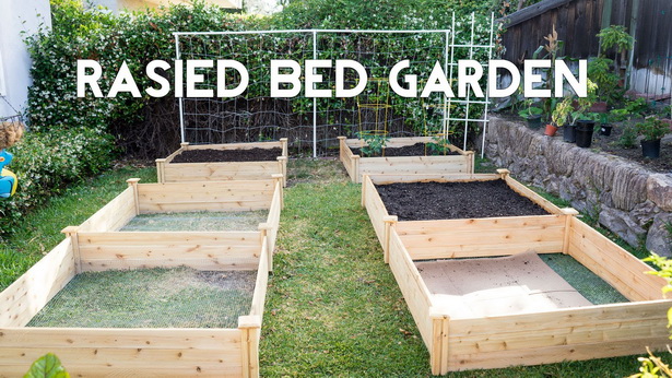 best-vegetables-for-raised-garden-beds-27_6 Най-добрите зеленчуци за повдигнати градински легла