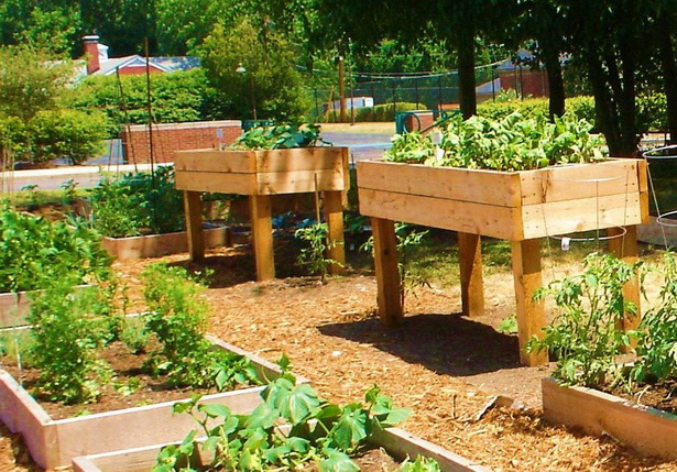 best-vegetables-for-raised-garden-beds-27_9 Най-добрите зеленчуци за повдигнати градински легла