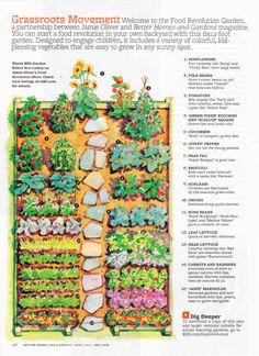 best-veggie-garden-design-83_19 Най-добър дизайн на зеленчукова градина