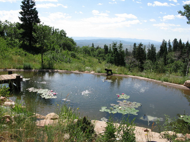 big-garden-ponds-63_7 Големи градински езера