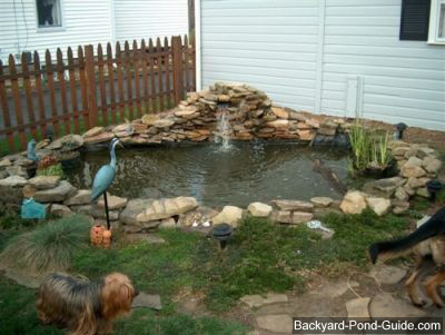 build-backyard-pond-29_13 Изграждане на заден двор езерце
