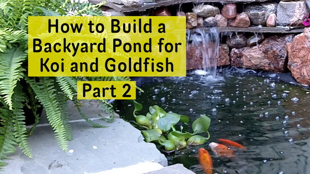 build-backyard-pond-29_14 Изграждане на заден двор езерце