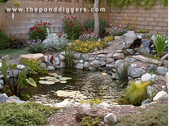 building-a-backyard-pond-and-waterfall-07_19 Изграждане на заден двор езерце и водопад