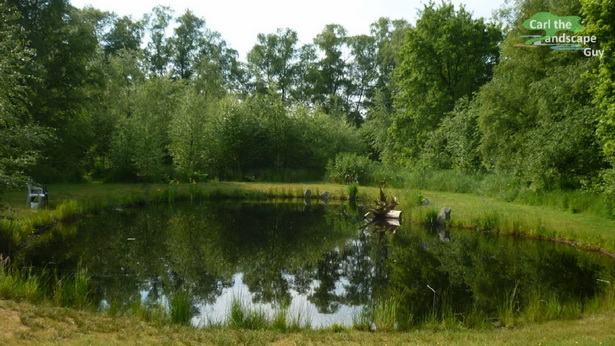 building-a-natural-pond-94_2 Изграждане на естествено езеро