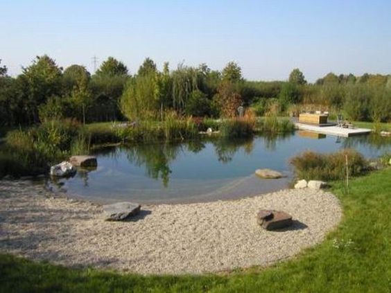 building-a-natural-pond-94_4 Изграждане на естествено езеро