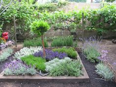 building-an-herb-garden-50_11 Изграждане на билкова градина