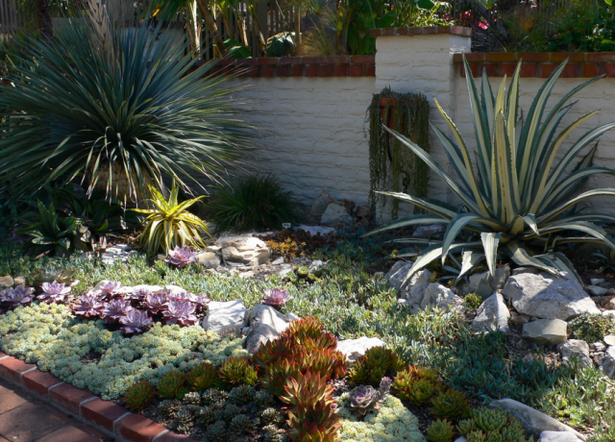 cactus-garden-ideas-75 Идеи за кактусова градина