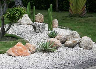 cactus-garden-ideas-75_11 Идеи за кактусова градина