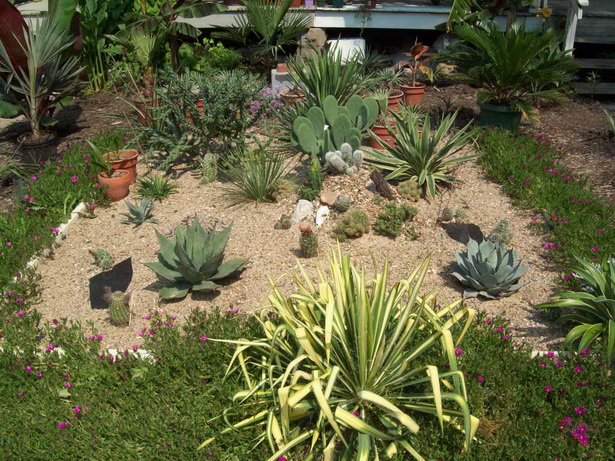 cactus-garden-ideas-75_14 Идеи за кактусова градина