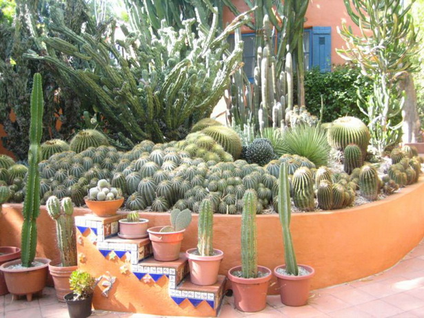 cactus-garden-ideas-75_3 Идеи за кактусова градина