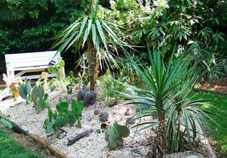 cactus-garden-ideas-75_6 Идеи за кактусова градина