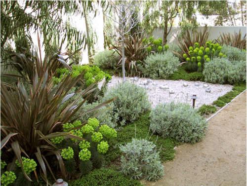 california-garden-design-20 Калифорния градина дизайн