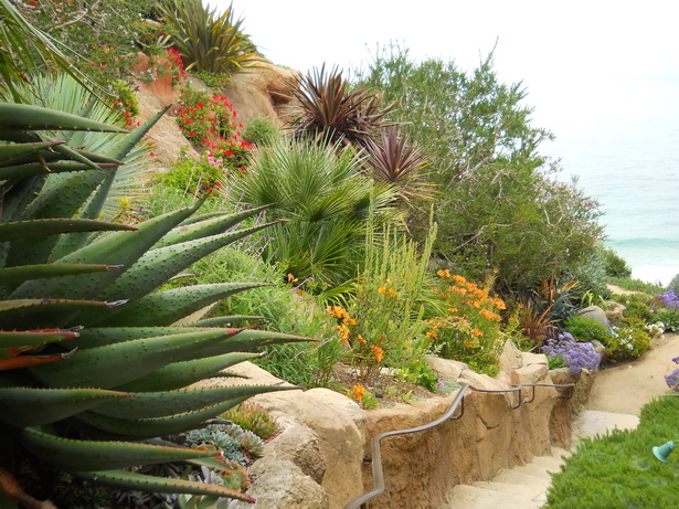 california-garden-design-20_18 Калифорния градина дизайн
