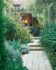 california-garden-design-20_2 Калифорния градина дизайн