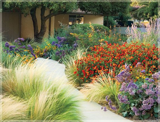california-garden-design-20_5 Калифорния градина дизайн