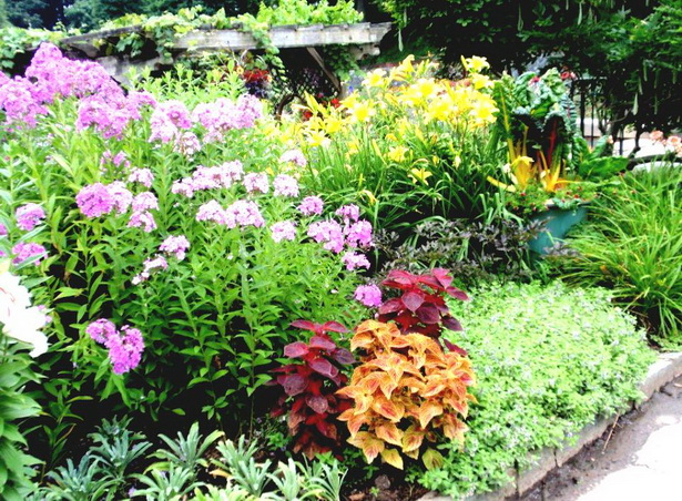 cheap-flower-garden-ideas-71_15 Евтини идеи за цветна градина
