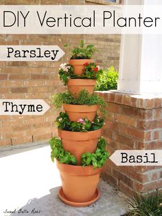 cheap-herb-garden-ideas-67_11 Евтини идеи за градина с билки