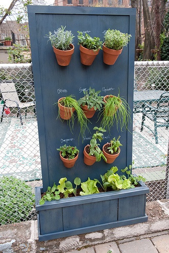 cheap-herb-garden-ideas-67_15 Евтини идеи за градина с билки