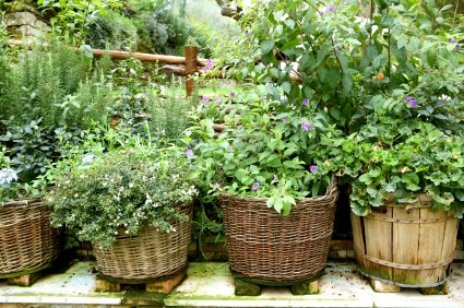 cheap-herb-garden-ideas-67_8 Евтини идеи за градина с билки